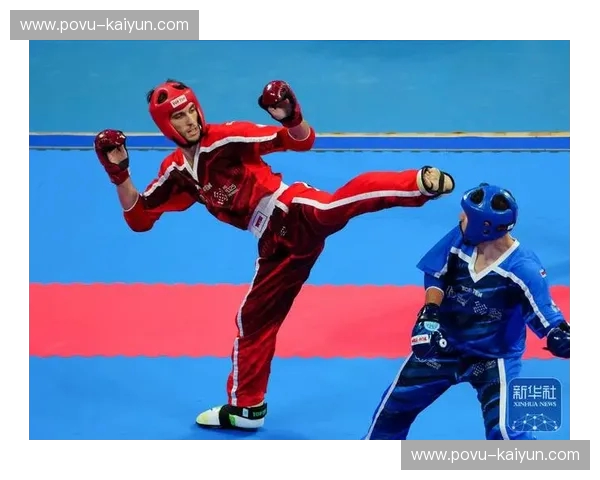 搏击战术师 搏击战术师