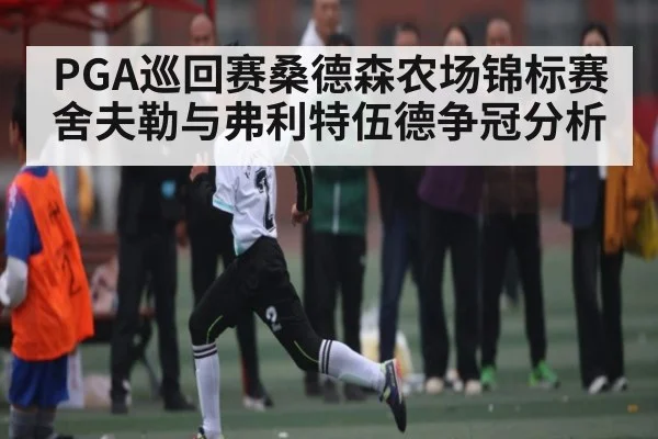 PGA巡回赛桑德森农场锦标赛舍夫勒与弗利特伍德争冠分析